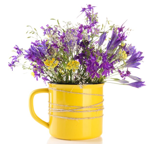 Beautiful bouquet of wildflowers in cup isolated on white