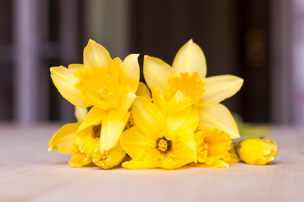 Beautiful bouquet of yellow narcissus flowers on wooden table