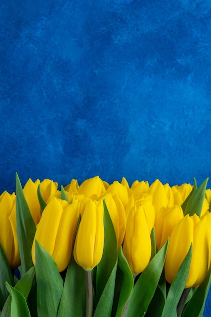 Beautiful bouquet of yellow tulips on a blue concrete background Top view copy space