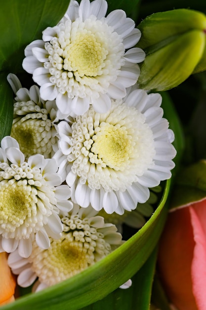 Beautiful bridal bouquet of lilies and roses at a wedding party