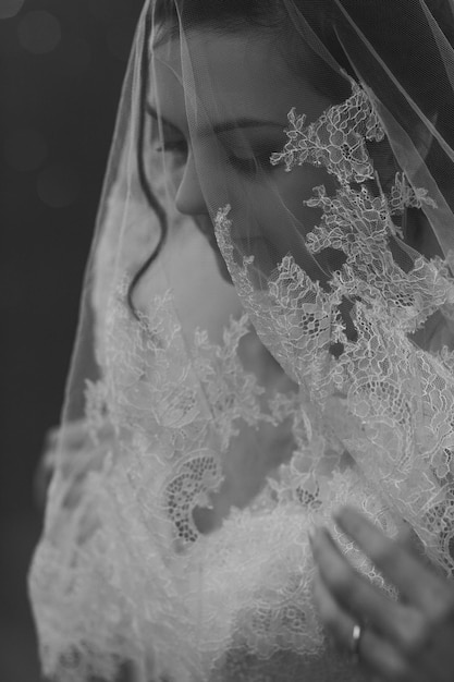 Beautiful bride portrait with veil over face