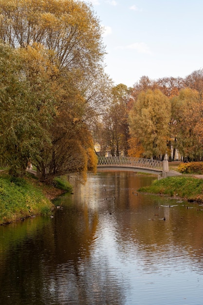 A beautiful bridge over the river in the city park on an autumn day Autumn in the city park