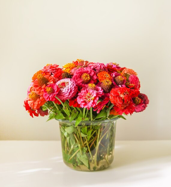 Beautiful bright colorful zinnia flowers in a bouquet. Ornamental plants.