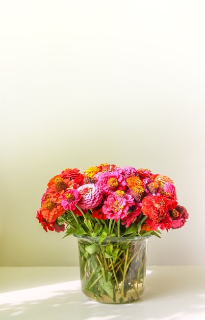 Beautiful bright colorful zinnia flowers in a bouquet. Ornamental plants.