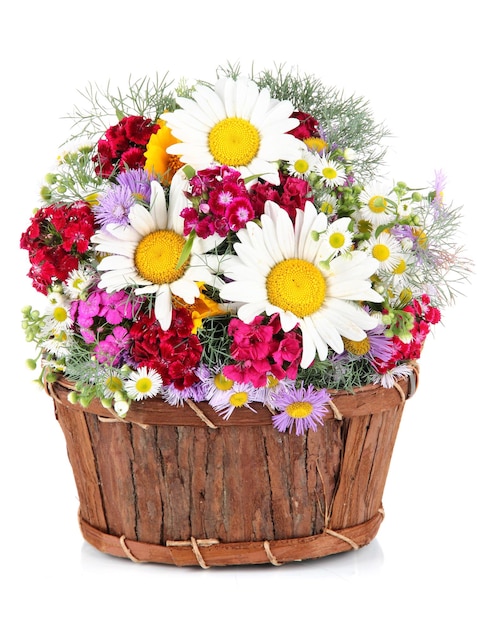 Beautiful bright flowers in wooden basket isolated on white