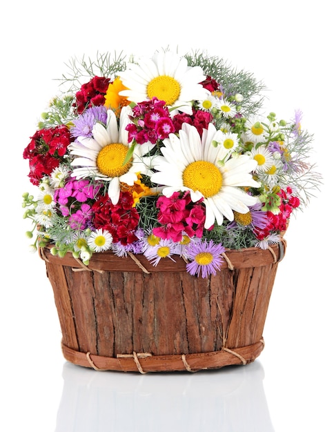 Beautiful bright flowers in wooden basket on white