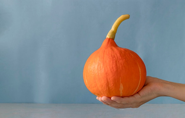 Beautiful bright pumpkin in a female hand on a blue background with a place for text