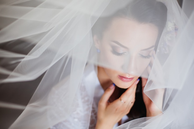 Beautiful brunette bride, long white veil