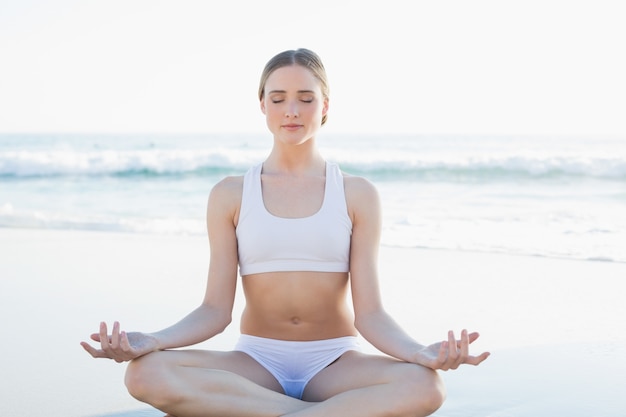 Beautiful brunette woman meditating sitting on the beach