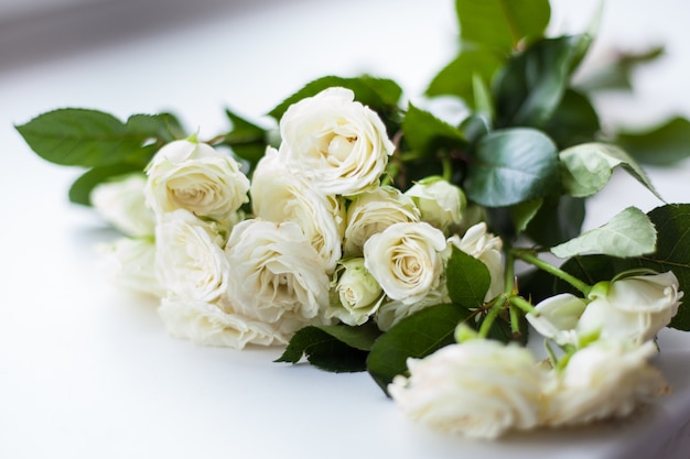 Beautiful Bush of white roses