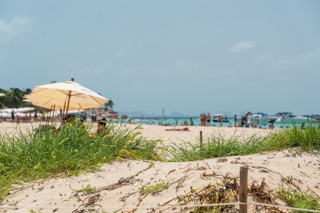 Beautiful caribbean beach playa norte or north beach on the isla mujeres near cancun mexico