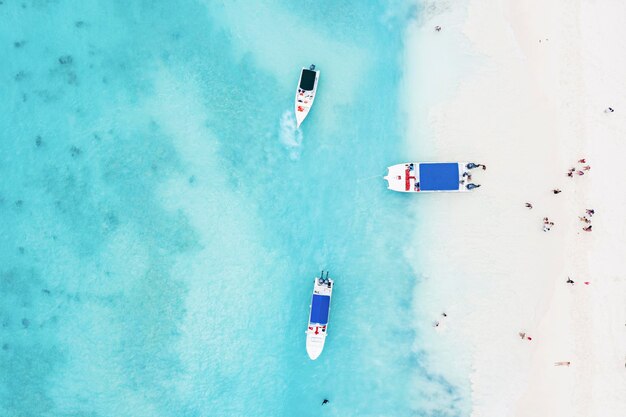 Beautiful caribbean beach on Saona island Dominican Republic Aerial view of tropical idyllic summer landscape with green palm trees sea coast and white sand