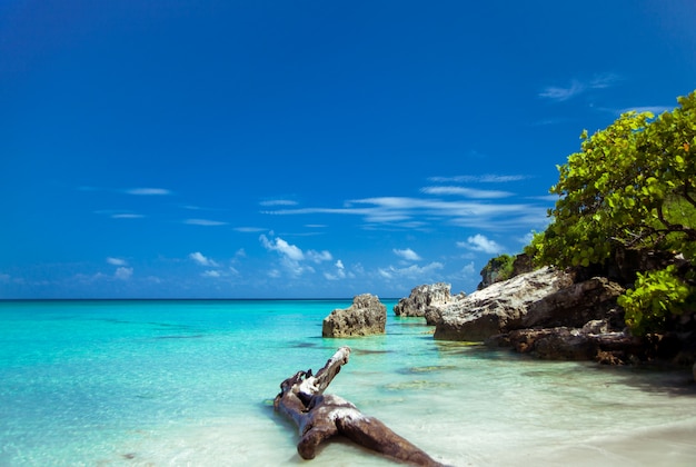 Beautiful Caribbean island in a sunny day