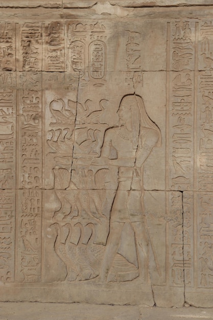 beautiful carvings at ancient egyptian temple of Kom Ombo in Aswan