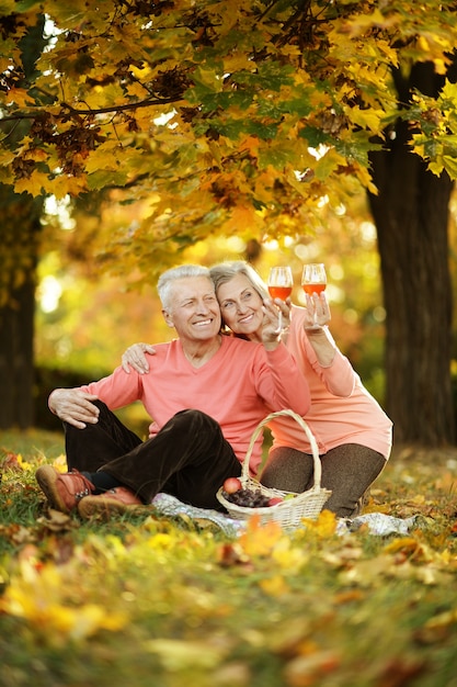 Beautiful caucasian elderly couple in the park in autumn