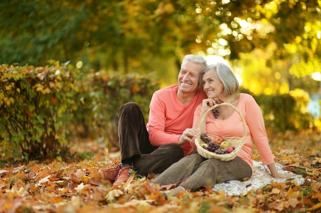 Beautiful caucasian elderly couple in the park in autumn