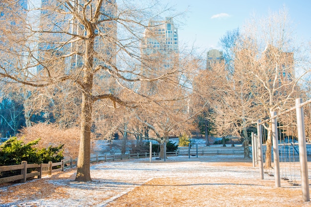 Beautiful Central Park in New York City