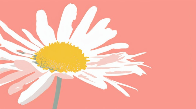 A beautiful chamomile flower in full bloom against a solid pink background The petals are white and the center is yellow The stem is green