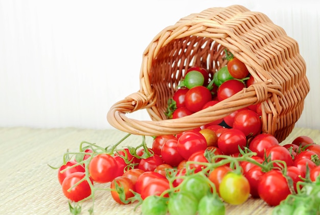 Beautiful cherry tomatoes that fell out of the basket on the table