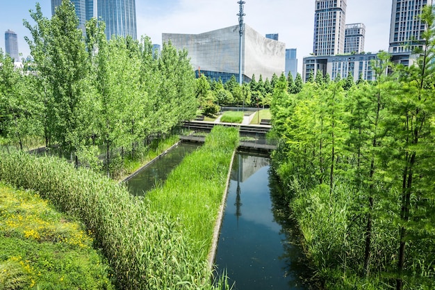 Beautiful city park in front of modern city buildings