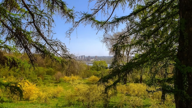 Beautiful city park on a summer sunny day cityscape in the background botanical garden in spring sea