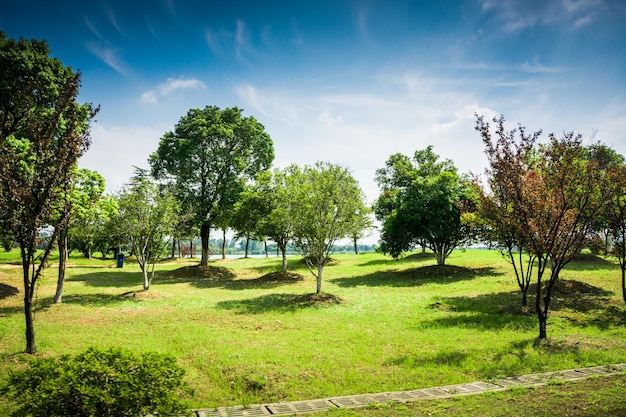 Beautiful city park