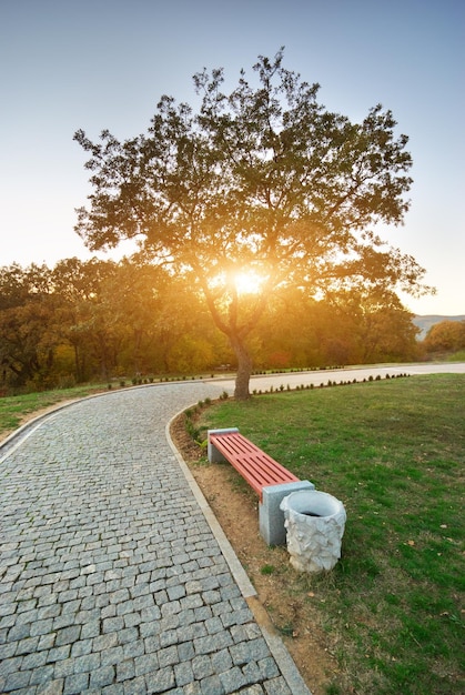 Beautiful city park