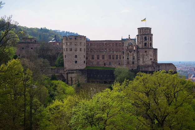 Beautiful cityscape view from above Europe city of Heidelberg in Germany Bridge and castle