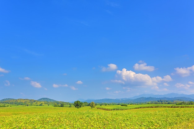 Beautiful cloud on blue sky in green field and mountains. Landscape scenery background.