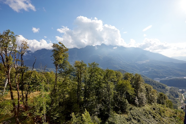 Beautiful clouds and fog among mountain forest landscape