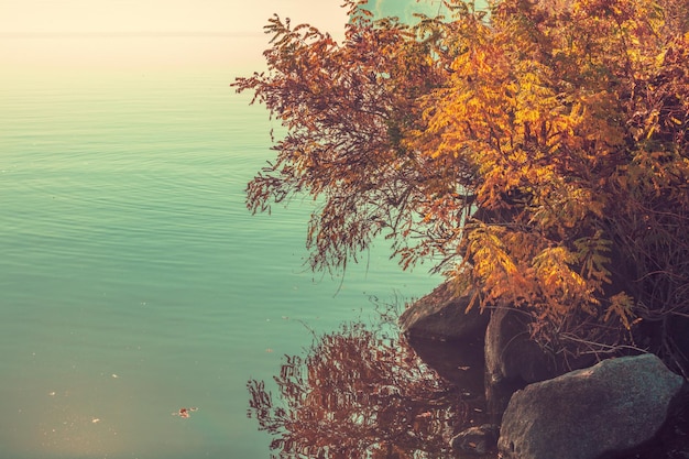 Beautiful coast in autumn in early foggy morning