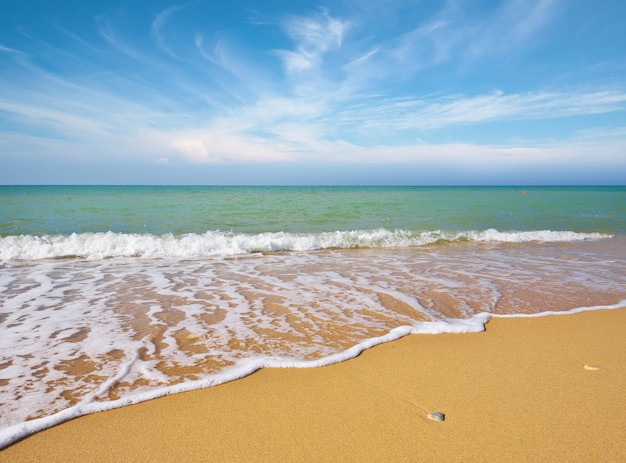 Beautiful coast of beach at day Nature composition