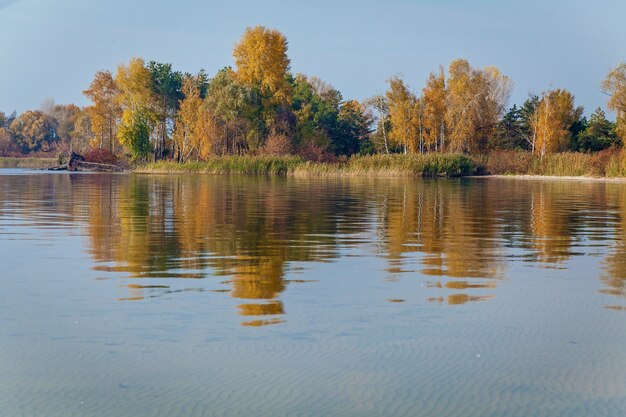 A beautiful coastal view with lots of yellow trees on a sunny day on the background 