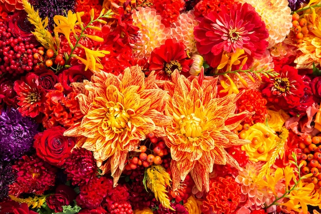 Beautiful colorful autumnal flowers background aster carnation and rose flowers top view