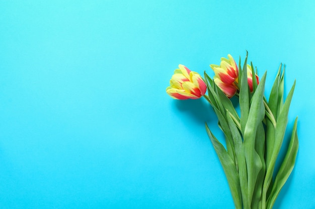 Beautiful and colorful bouquet of tulips