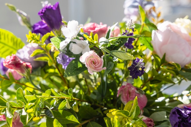 Beautiful colorful flowers close up