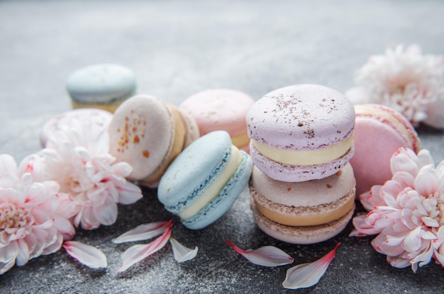 Beautiful colorful tasty macaroons and  white flowers  on a concrete background