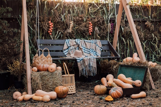 Beautiful composition of pumpkins and autumn vegetables and flowers in the courtyard in the village