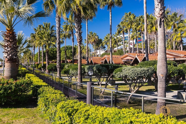 Beautiful concrete path along the tropical garden The concept of a relaxing