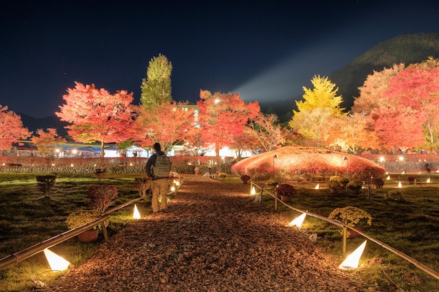 Beautiful corridor illuminated in Maple garden Traditional festival in Kawaguchiko