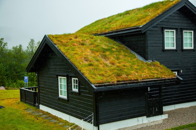 Beautiful country house in Norway. Dream cottage in nature.