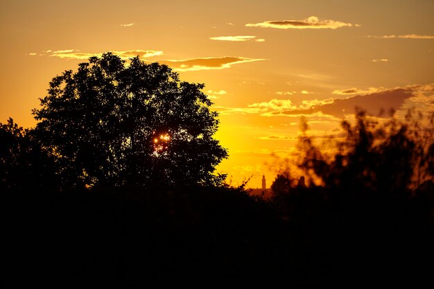 Beautiful Countryside lanscape in northen Italy at sunset