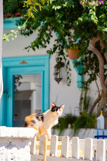 Beautiful cozy cafe in historical Kas town, Antalya, Turkey