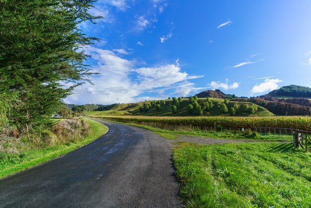 A Beautiful day in Whanganui , North Island of New Zealand