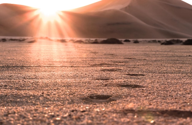 Beautiful desert sunset and footprints in the sand