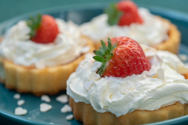 A beautiful dessert of sponge cake and cream with strawberries