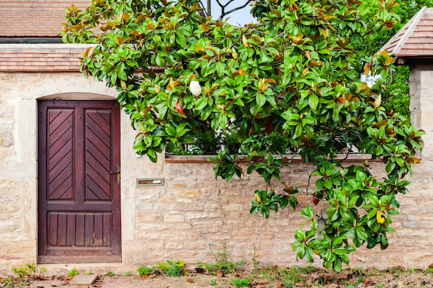 Beautiful door in old brick house