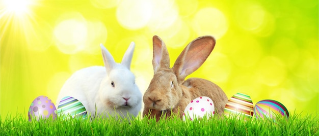 Beautiful Easter background with colorful Easter eggs