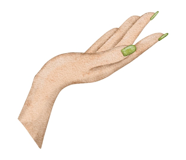 Beautiful elegant female hand with green manicure Human body fragment Hand drawn watercolor