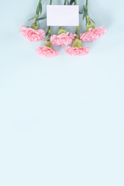 Beautiful elegant pink carnation flower over bright light blue table background concept of Mother's Day flower gift top view flat lay overhead